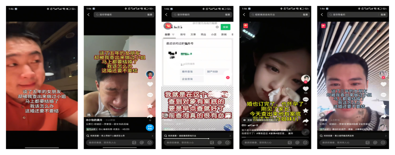 案件查询系统