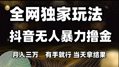全网独家玩法抖音无人暴力撸金，月入3W，有手就行，当天拿结果【揭秘】-壹联网络
