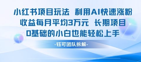 适合小白操作的小红书新项目，利用AI快速涨粉，收益每月平均1W+-壹联网络