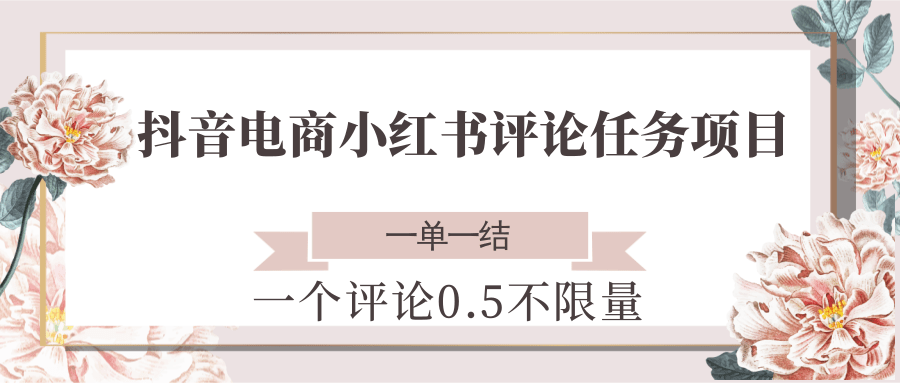抖音电商小红书评论任务项目，一个评论0.5，一单一结 不限量-壹联网络