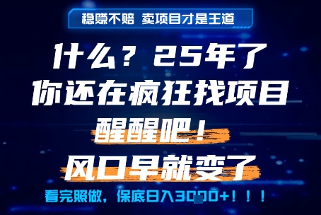 什么？25年你还在疯狂找项目做，醒醒吧，看完这些你全都懂了！【揭秘】-壹联网络