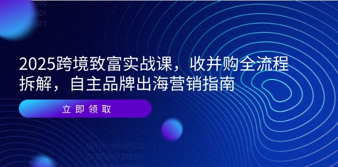2025跨境致富实战课，收并购全流程拆解，自主品牌出海营销指南-壹联网络