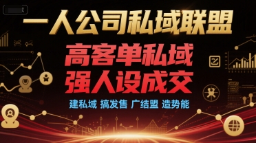 一人公司私域联盟，高客单私域，强人设成交，建私域 搞发售 广结盟 造势能-壹联网络