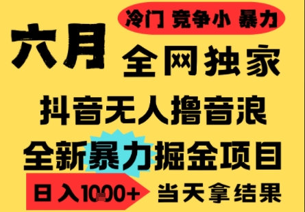 25年6月高爆抖音无人直播最新撸音浪掘金项目，小白可做，无脑日入1k+，门槛低可批量矩阵【揭秘】-壹联网络