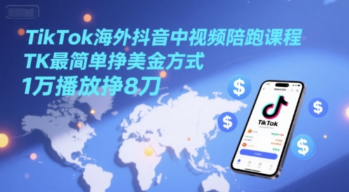 TikTok海外抖音中视频陪跑课程，TK最简单挣美金方式，1万播放挣8刀-壹联网络