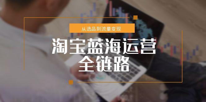 淘宝蓝海运营全链路，从选品到流量变现，小类目突围完整方案-壹联网络