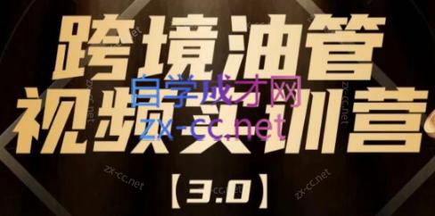 阿蔺Leo·跨境油管视频YouTube实训营(更新2025)-壹联网络