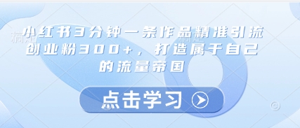 小红书3分钟一条作品精准引流创业粉300+，打造属于自己的流量帝国-壹联网络