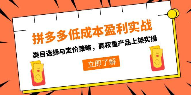 拼多多低成本盈利实战，类目选择与定价策略，高权重产品上架实操-壹联网络