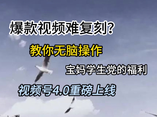 视频号4.0重磅上线，爆款视频难复刻？教你无脑操作宝妈学生党的福利【揭秘】-壹联网络
