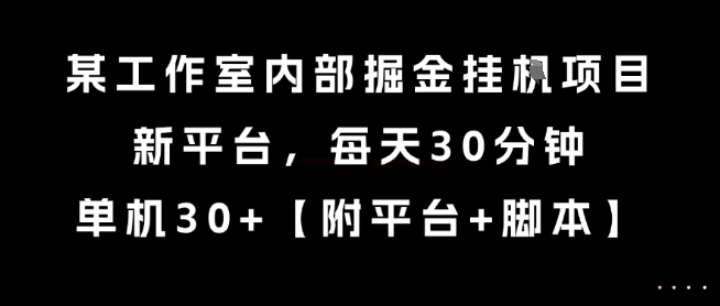 某工作室内部掘金挂G项目，新平台，每天30分钟，单机30+【揭秘】-壹联网络