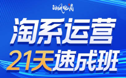 白凤电商·淘系运营21天速成班(更新6月)-壹联网络