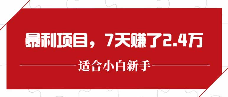 最新暴利项目，每单收益轻松在300以上，7天赚了2.4万-壹联网络