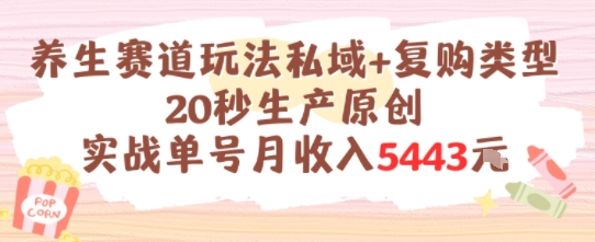 养生赛道玩法私域+复购类型，20秒生产原创实战单号月收入5k+-壹联网络