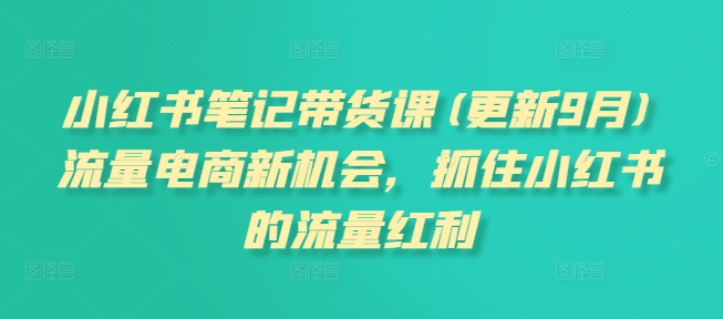 小红书笔记带货课(更新25年6月)流量电商新机会，抓住小红书的流量红利-壹联网络