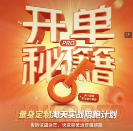 淘宝开单秘籍PRO，量身定制淘天实战陪跑计划，告别做店迷茫、快速突破运营瓶颈期(更新6月)-壹联网络