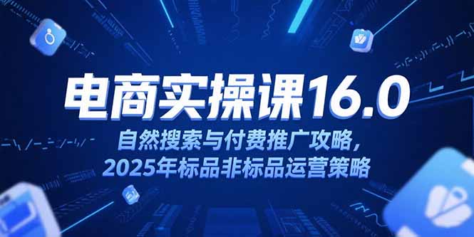 淘宝电商运营课16.0，自然搜索与付费推广攻略，2025年标品非标品运营策略-壹联网络