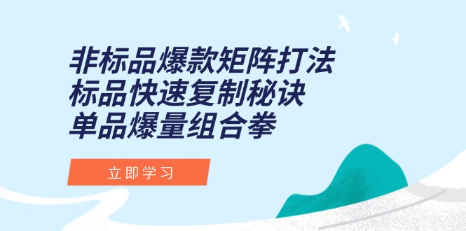非标品爆款矩阵打法，标品快速复制秘诀，单品爆量组合拳-壹联网络