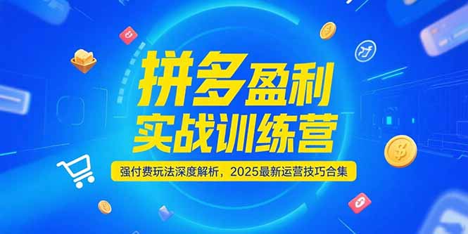 拼多多盈利实战训练营，强付费玩法深度解析，2025运营技巧合集-更新6月-壹联网络
