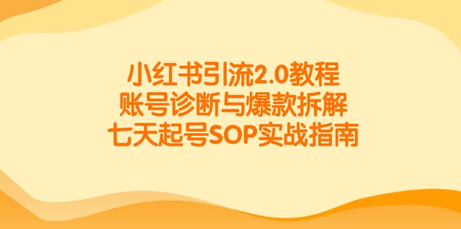 小红书引流2.0教程，账号诊断与爆款拆解，七天起号SOP实战指南-壹联网络
