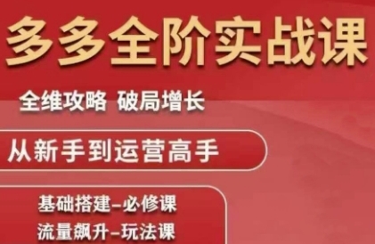 拼多多全阶实战课程，全维攻略，破局增长，从新手到运营高手-壹联网络