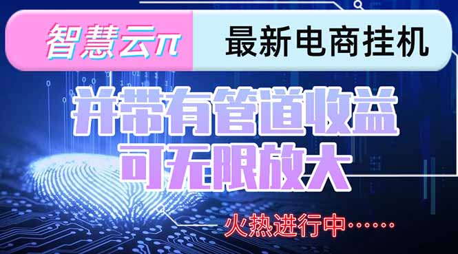 智慧云π电脑挂机单机每天收益300—500+ 并带有团队管道收益 可无限放大-壹联网络