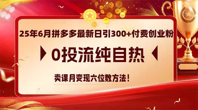 25年6月拼多多最新日引300+付费创业粉，0投流纯自热 卖课月变现六位数方法-壹联网络