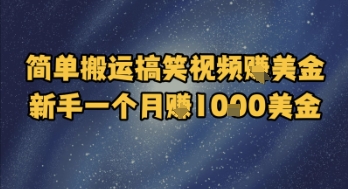 简单搬运搞笑视频挣美金，新手一个月入1k美金-壹联网络