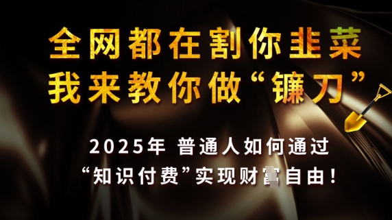 全网都在割你韭菜，我来教你做镰刀，2025普通人如何通过知识付费，实现财F自由【揭秘】-壹联网络